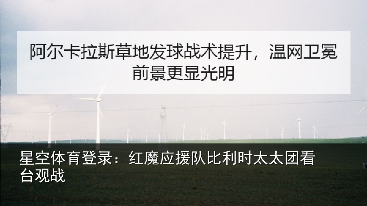 星空体育登录:红魔应援队比利时太太团看台观战