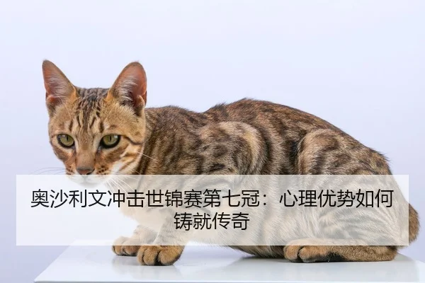 奥沙利文冲击世锦赛第七冠：心理优势如何铸就传奇