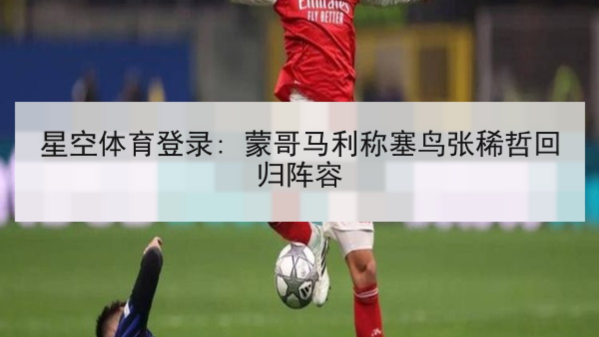 星空体育登录: 蒙哥马利称塞鸟张稀哲回归阵容 星空体育登录: 蒙哥马利称塞鸟张稀哲回归阵容