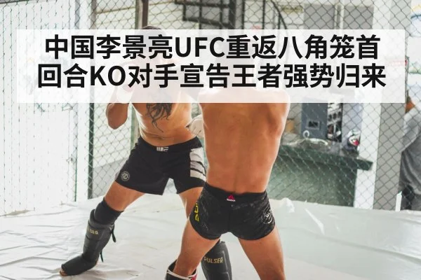 MMA knockout punch